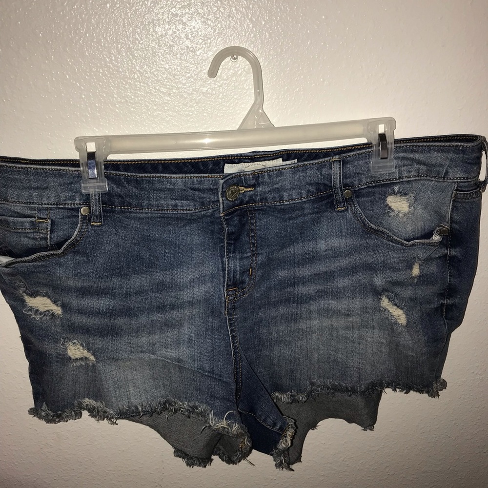Torrid shorts